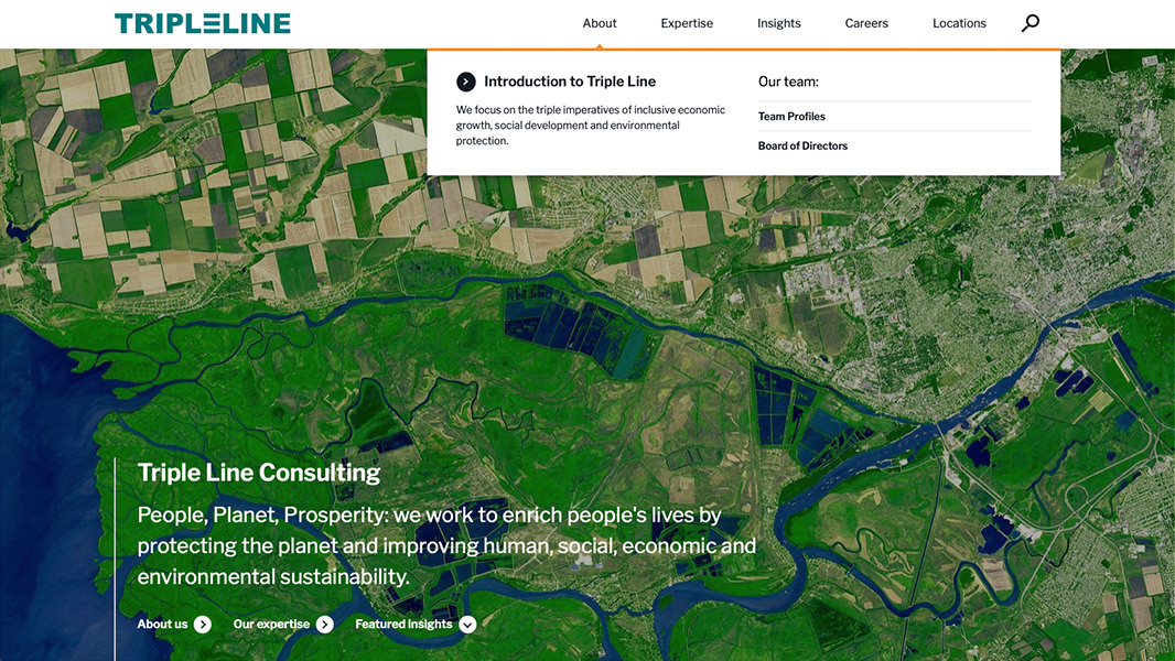 Triple Line Consulting Website Design by © Fuga Design