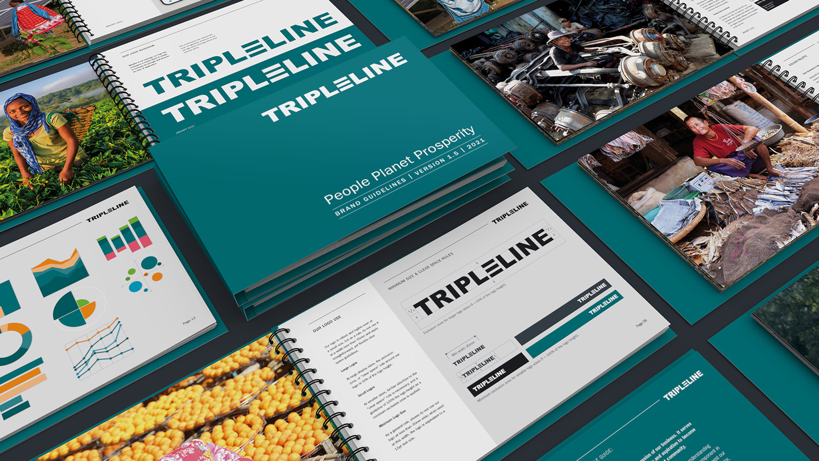 Triple Line Consulting Rebrand by © Fuga Design